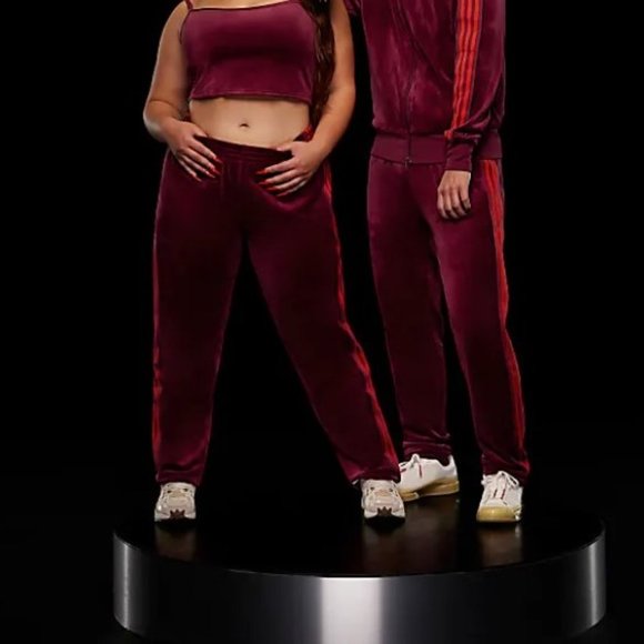 Ivy Park Chery Wood Velour V-Day Track Suite Jacket and Pant Set Gently used 2X - Picture 5 of 14